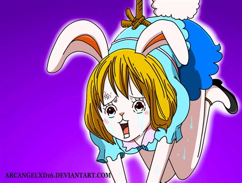 carrot one piece hentai|Tag: carrot